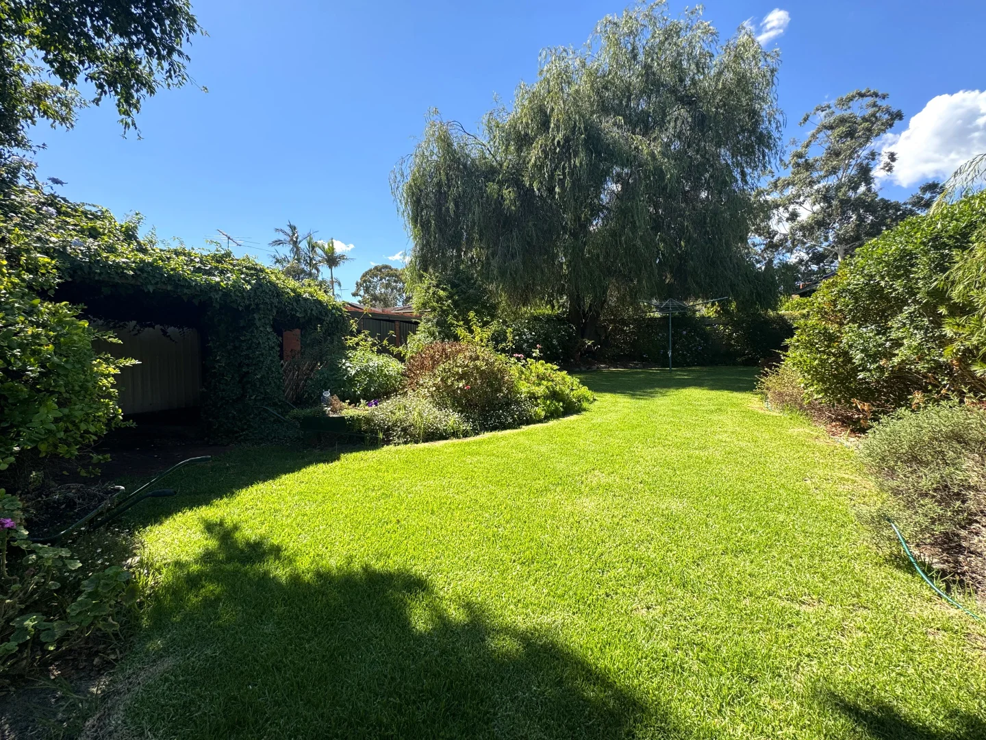 Additional image 38 of 24 Spring Crescent, Banksia Park SA 5091