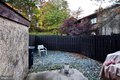 Additional image 49 of 8317 Canning Ter, Greenbelt, MD, 20770
