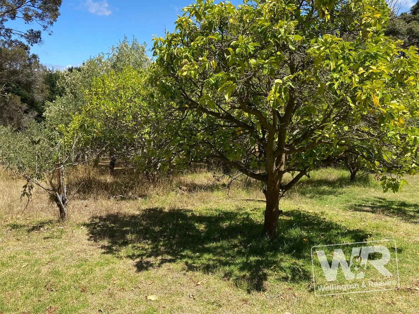 Additional image 18 of 60 Mountain Road, Bornholm WA 6330