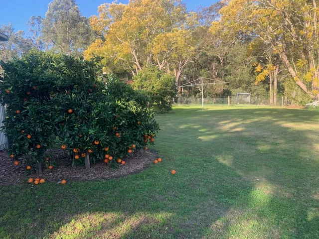 Additional image 4 of 35 Cattai Ridge Road, Glenorie NSW 2157