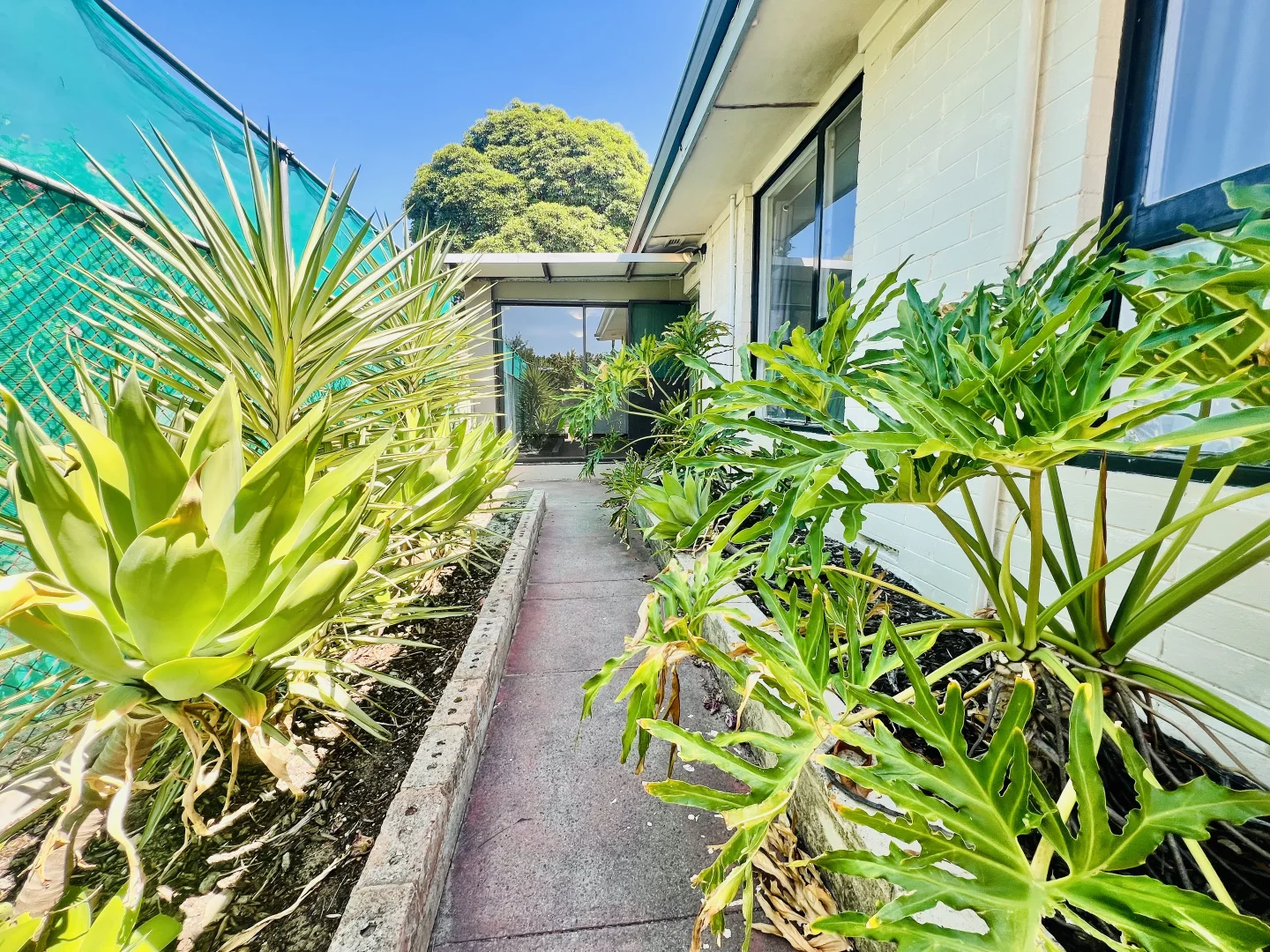 Additional image 12 of 12 Cowan Street, Maddington WA 6109