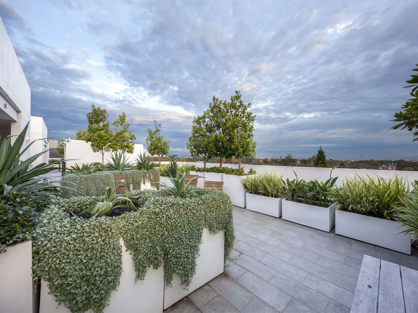 107/581 Gardeners Road, Mascot NSW 2020