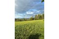 Additional image 37 of 1742 Addison Back Rd, Addison, NY, 14801