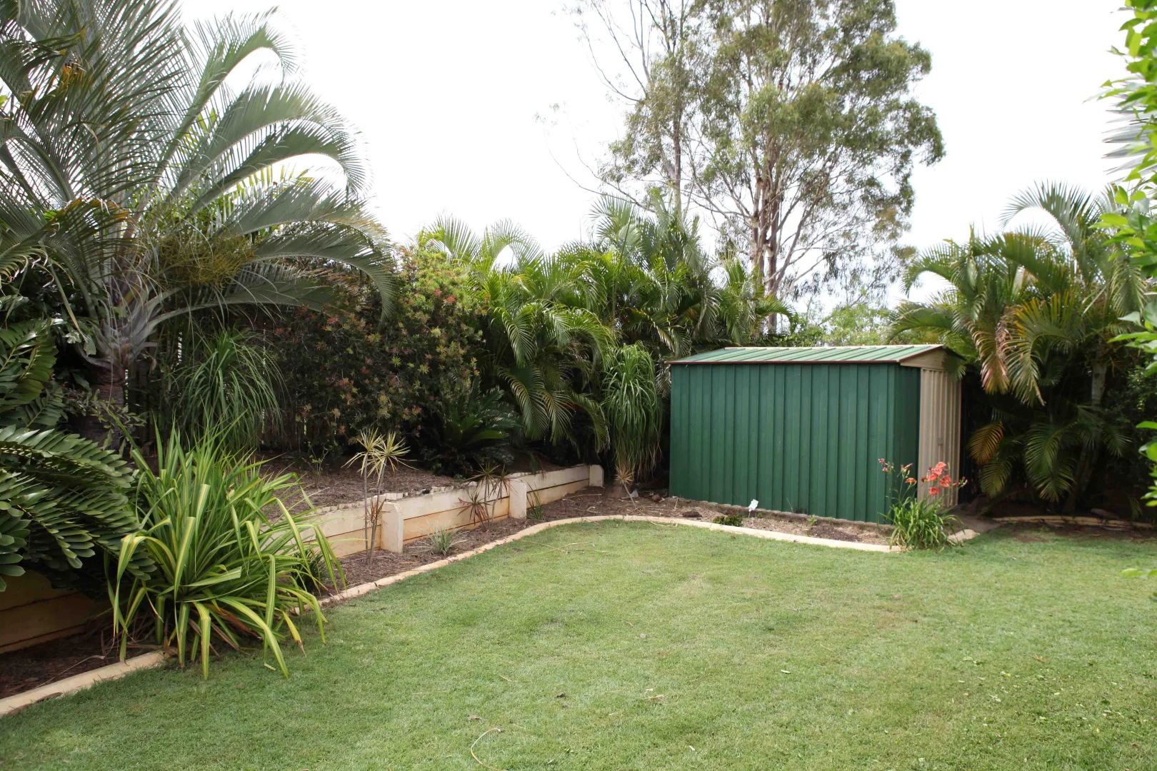 Additional image 9 of 47 Penda Avenue, New Auckland QLD 4680