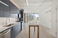 311 W Illinois St Unit 1-1, Chicago, IL, 60654