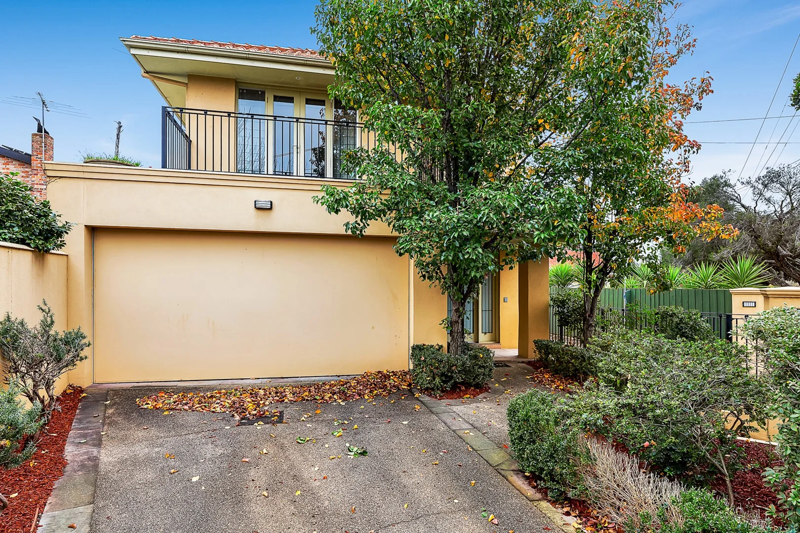 Additional image 13 of 8 Barkly Street, Brighton VIC 3186