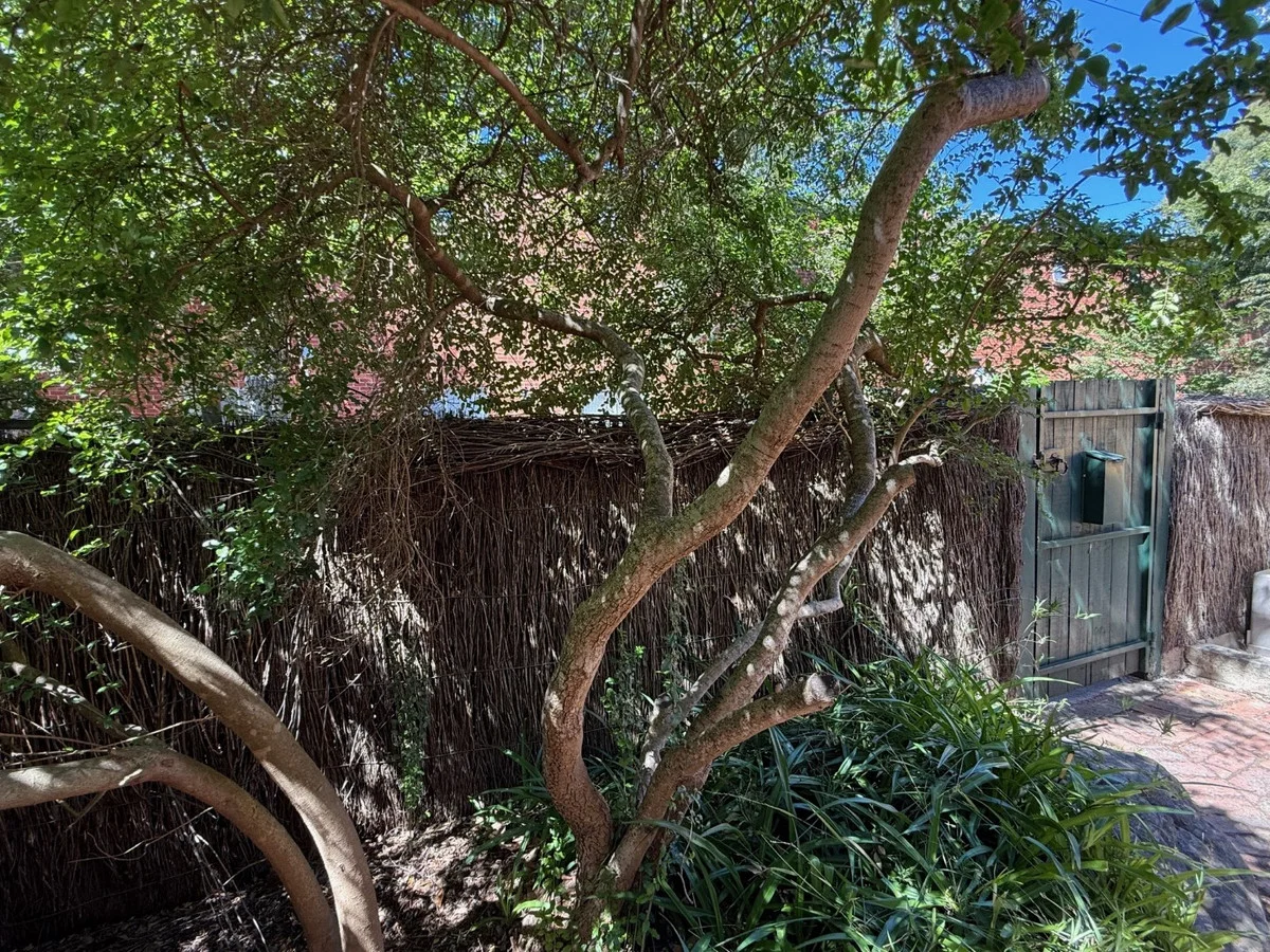 Additional image 14 of 13 Woods Street, Norwood SA 5067