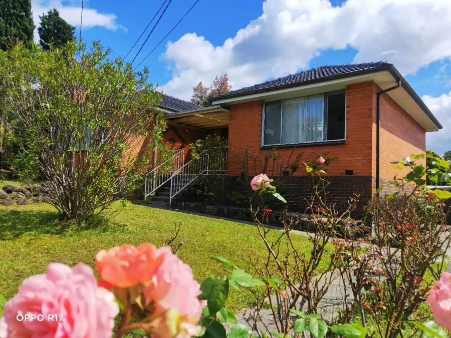 61 Arbroath Road, Wantirna South VIC 3152