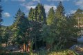 Additional image 27 of 21962 Elliot Rd, Cedarpines Park, CA, 92325