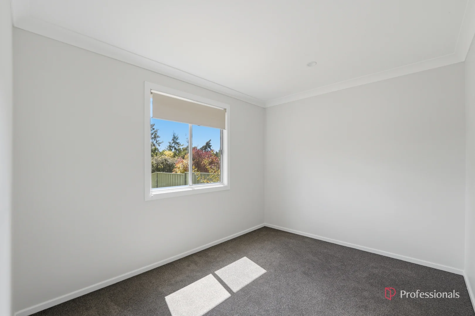 Additional image 5 of 16 Rowan Avenue, Uralla NSW 2358
