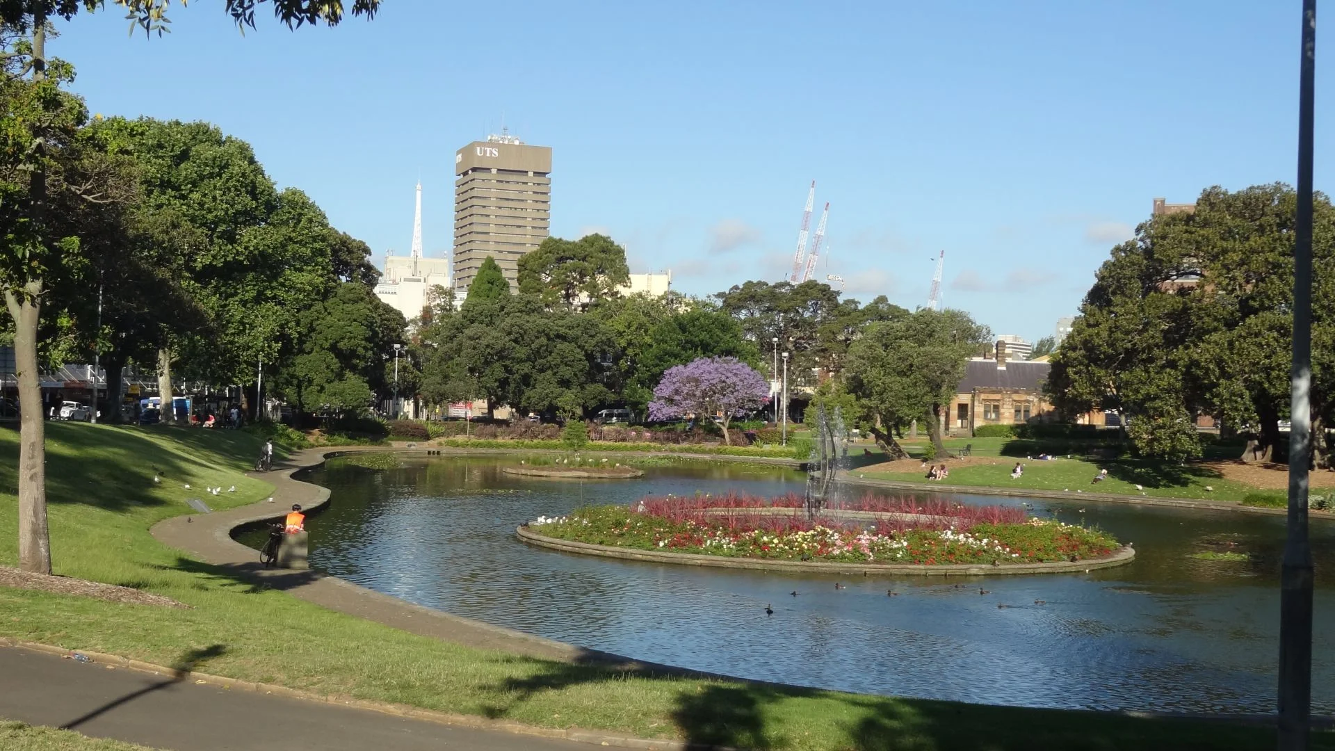 Additional image 8 of 4075/185 Broadway, Ultimo NSW 2007