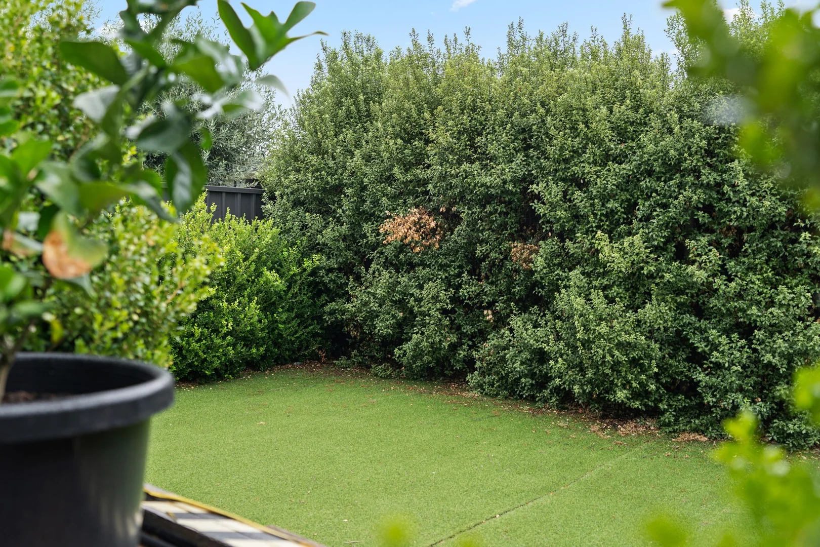 Additional image 15 of 23A Britton Av, Tranmere SA 5073