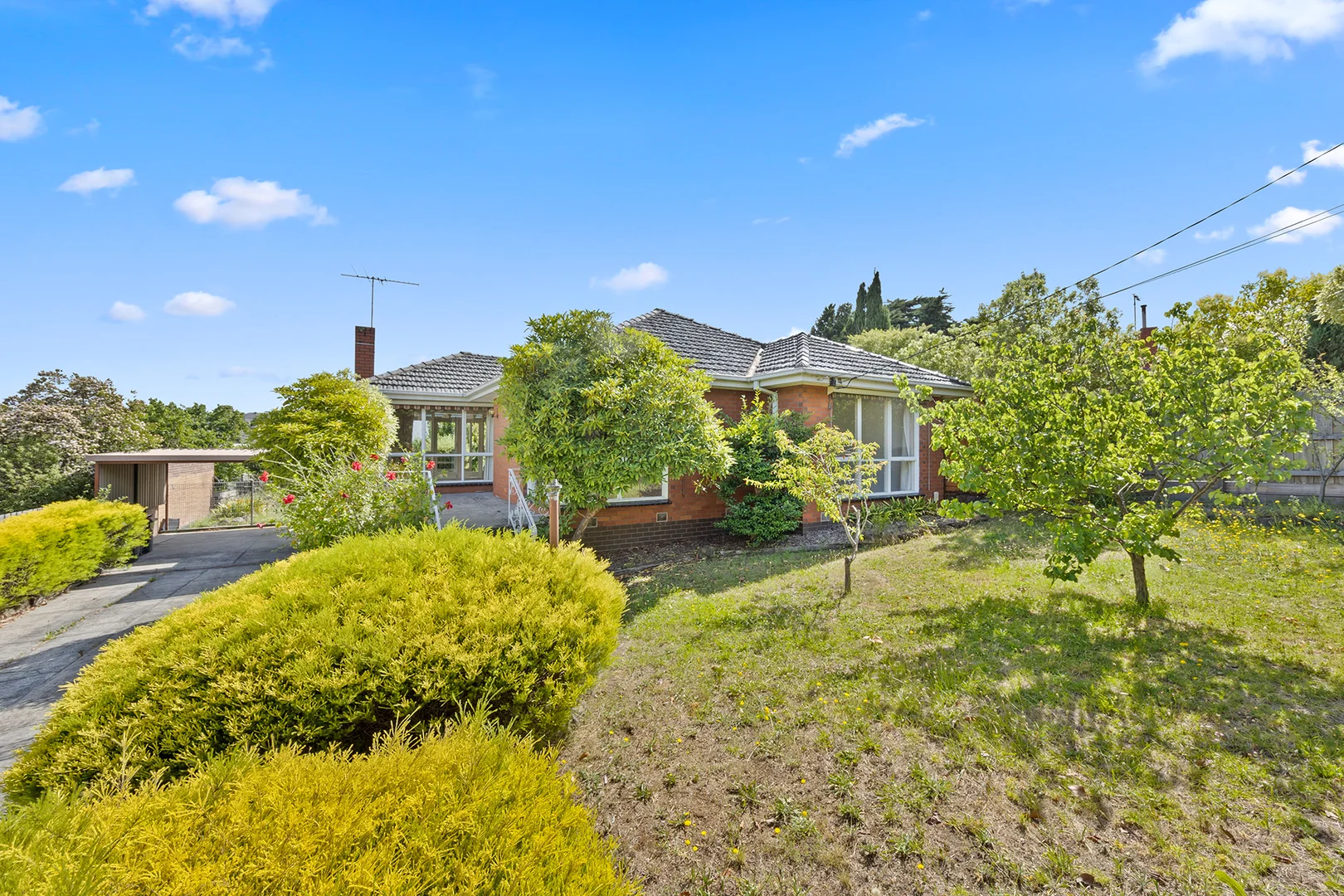 Additional image 9 of 31 Cassowary Street, Doncaster East VIC 3109