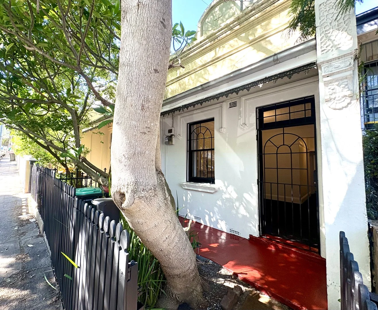 24 Bucknell Street, Newtown NSW 2042