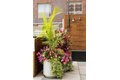 Additional image 16 of 273 16th St, Jersey City, NJ, 07310