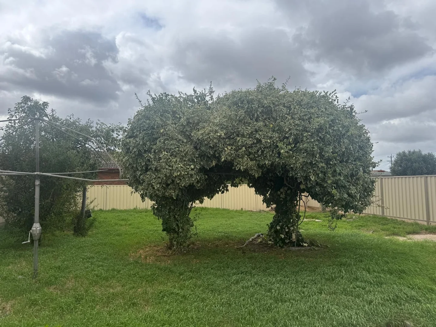 Additional image 11 of 4 Cowper Avenue, St Albans VIC 3021
