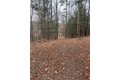 Additional image 42 of 1742 Addison Back Rd, Addison, NY, 14801