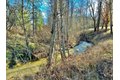 Additional image 42 of 470 S Meadow Ln, Hayfork, CA, 96041