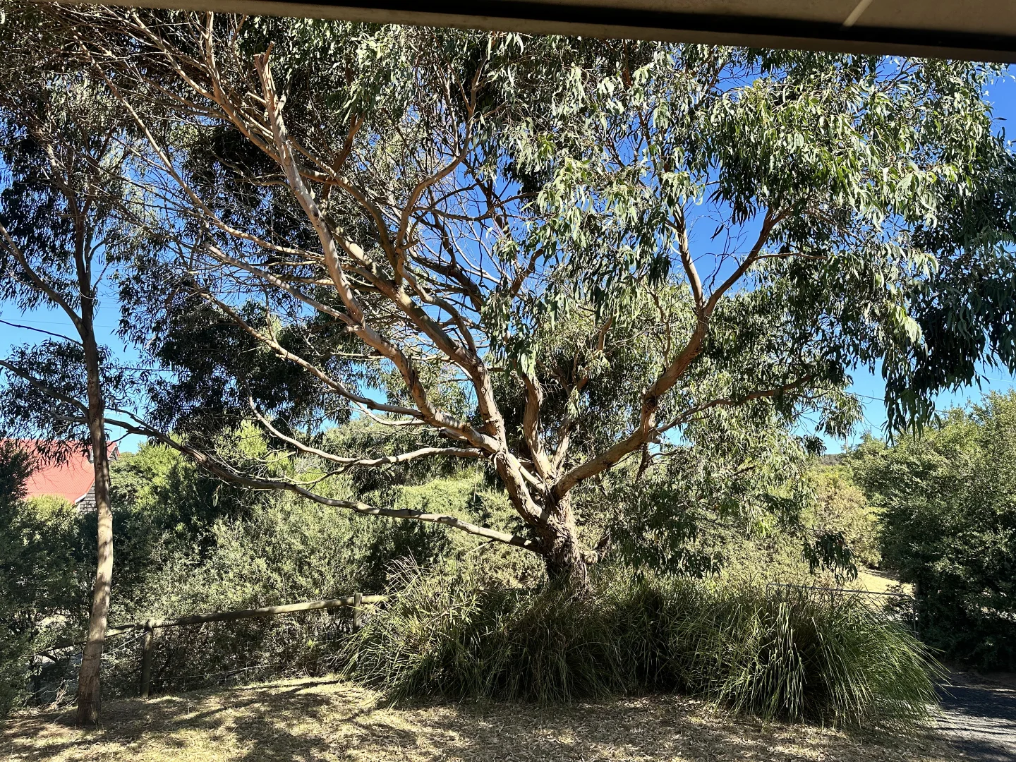Additional image 20 of 4 Bradley Avenue, Venus Bay VIC 3956