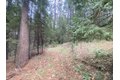 Additional image 35 of 9427 Grizzly Flat Rd, Grizzly Flats, CA, 95636