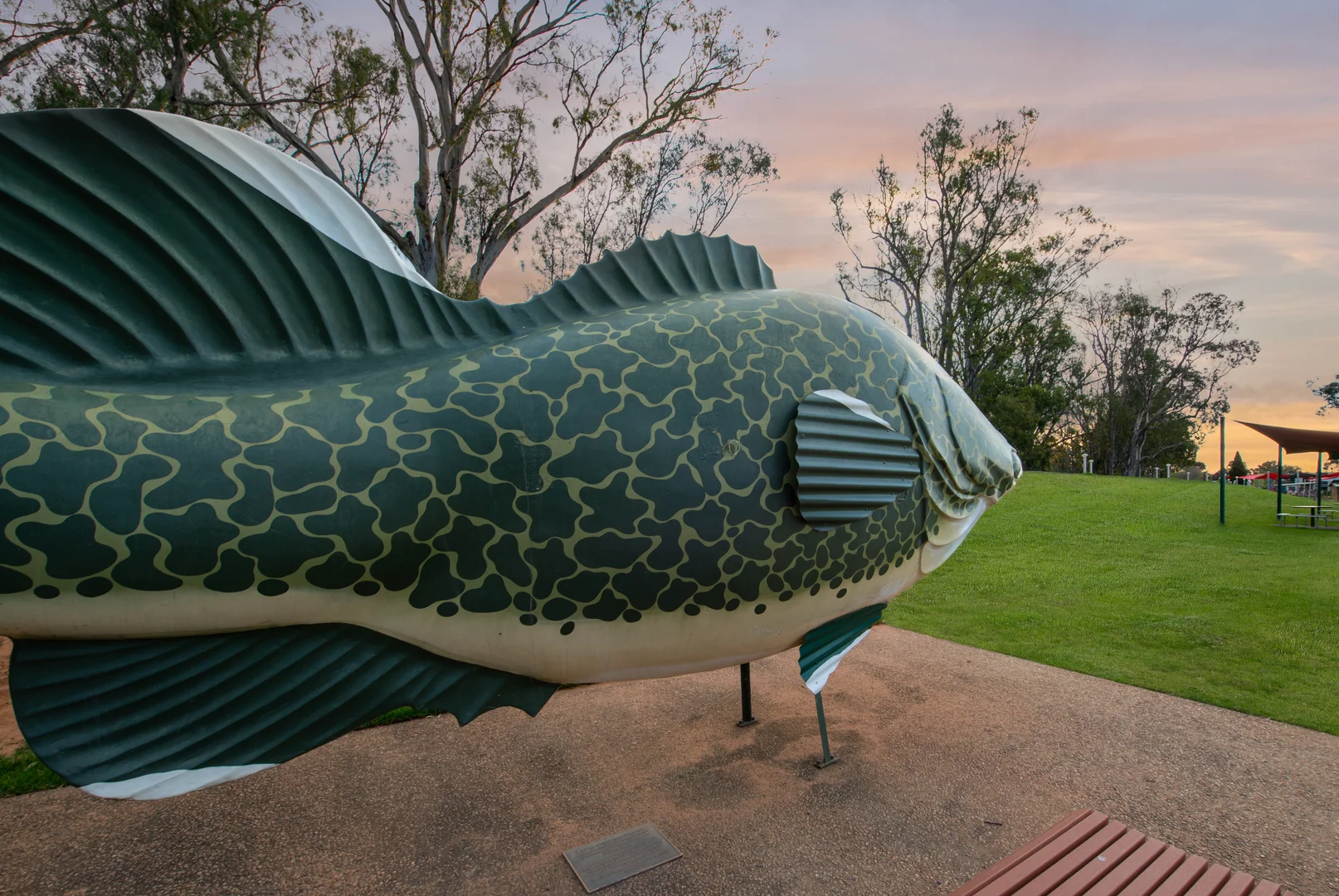 Additional image 19 of 2 Ball Court, Tocumwal NSW 2714