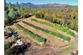 Additional image 7 of 470 S Meadow Ln, Hayfork, CA, 96041