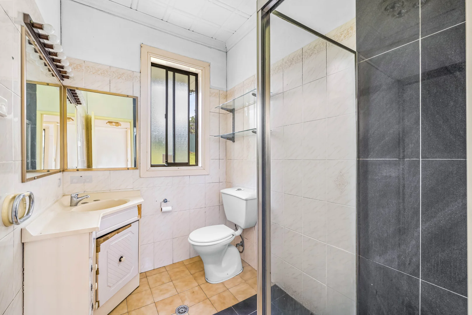 Additional image 5 of 58 Oliphant Street, Mount Pritchard NSW 2170