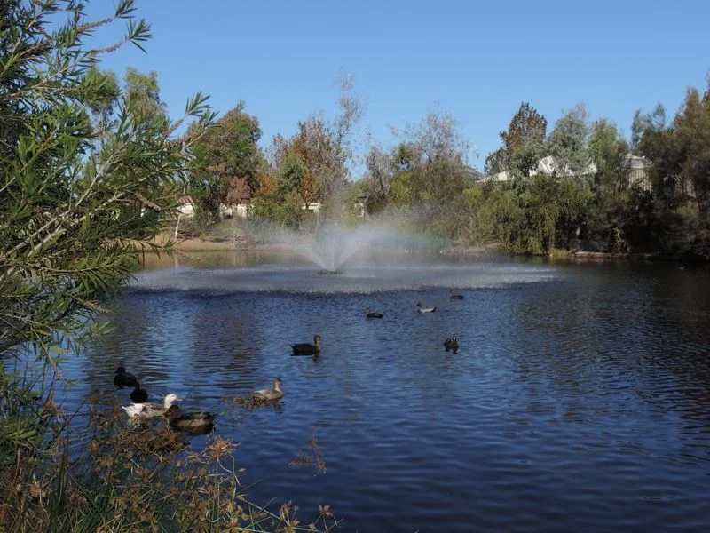 Additional image 25 of 36 Teal Brook Circuit, Seville Grove WA 6112