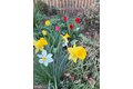 Additional image 34 of 1611 Noyes Dr, Silver Spring, MD, 20910