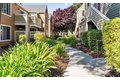 Additional image 12 of 120 Reflections Dr Unit 41A, San Ramon, CA, 94583