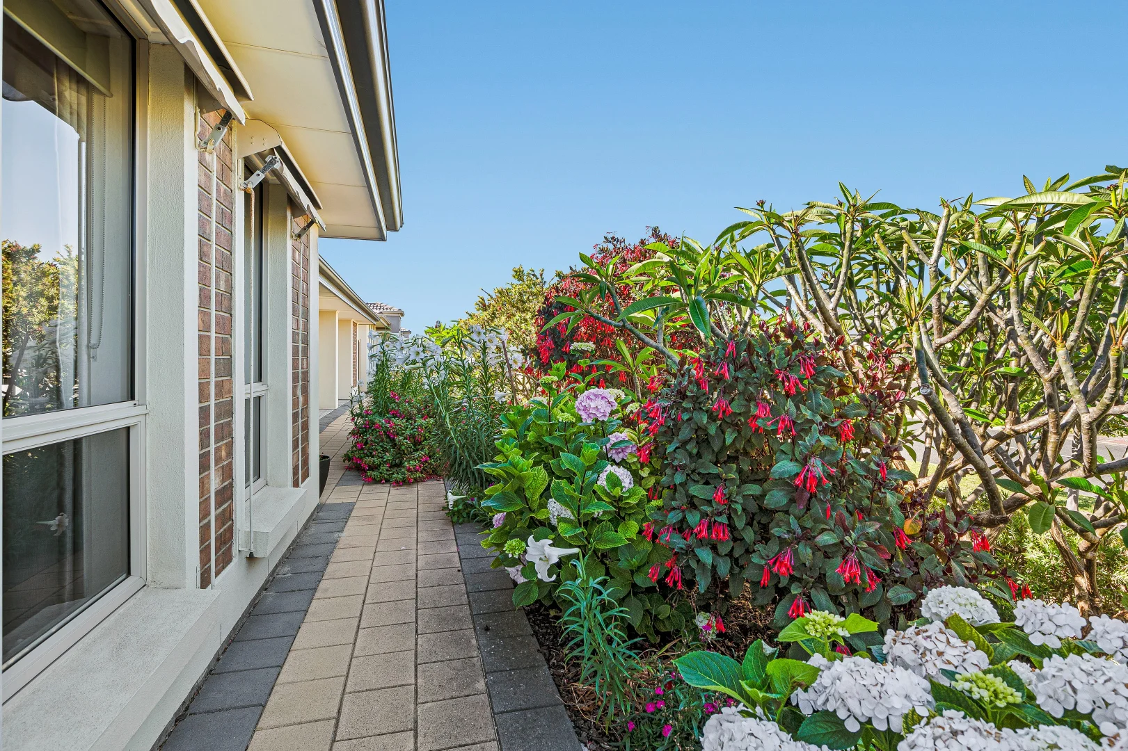 24 Casuarina Av, Aldinga Beach SA 5173 photo 3