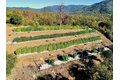 Additional image 9 of 470 S Meadow Ln, Hayfork, CA, 96041