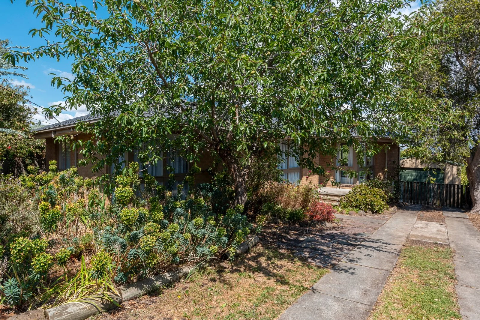 4 Kintyre Crescent, Leopold VIC 3224
