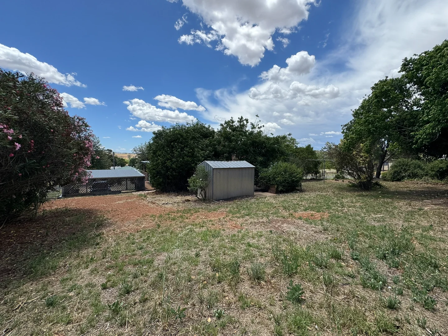 Additional image 13 of 41 Tallawang Street, Dunedoo NSW 2844