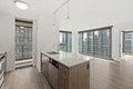 343 W Wolf Point Plz Unit 1-1, Chicago, IL, 60654