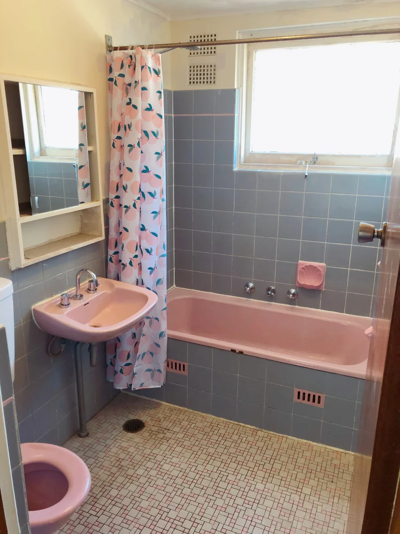 11/36 Bland St, Ashfield NSW 2131 photo 5