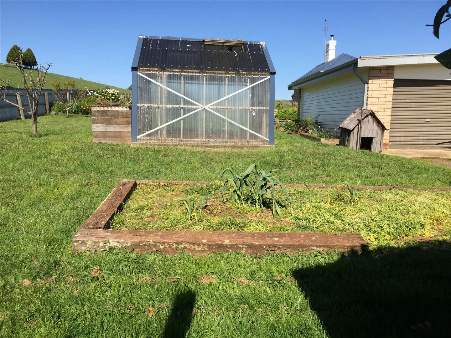 Additional image 8 of 15 Scott Street, Scottsdale TAS 7260