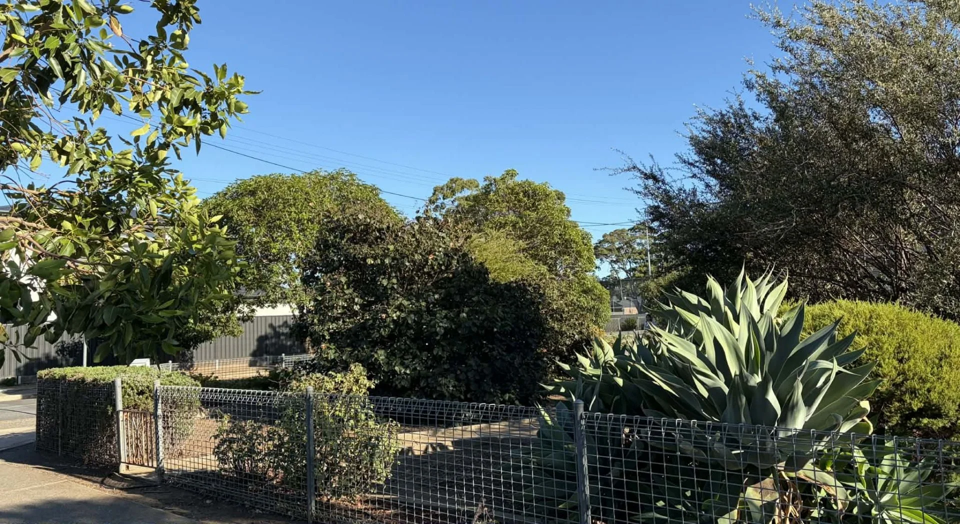 Additional image 12 of 3 Edwards Avenue, Park Holme SA 5043