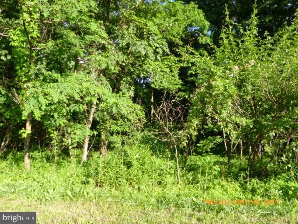 Shady Ln/Jeffery Drive, Augusta, WV 26704