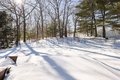 Additional image 38 of 81 Parish Rd, Needham, MA, 02494