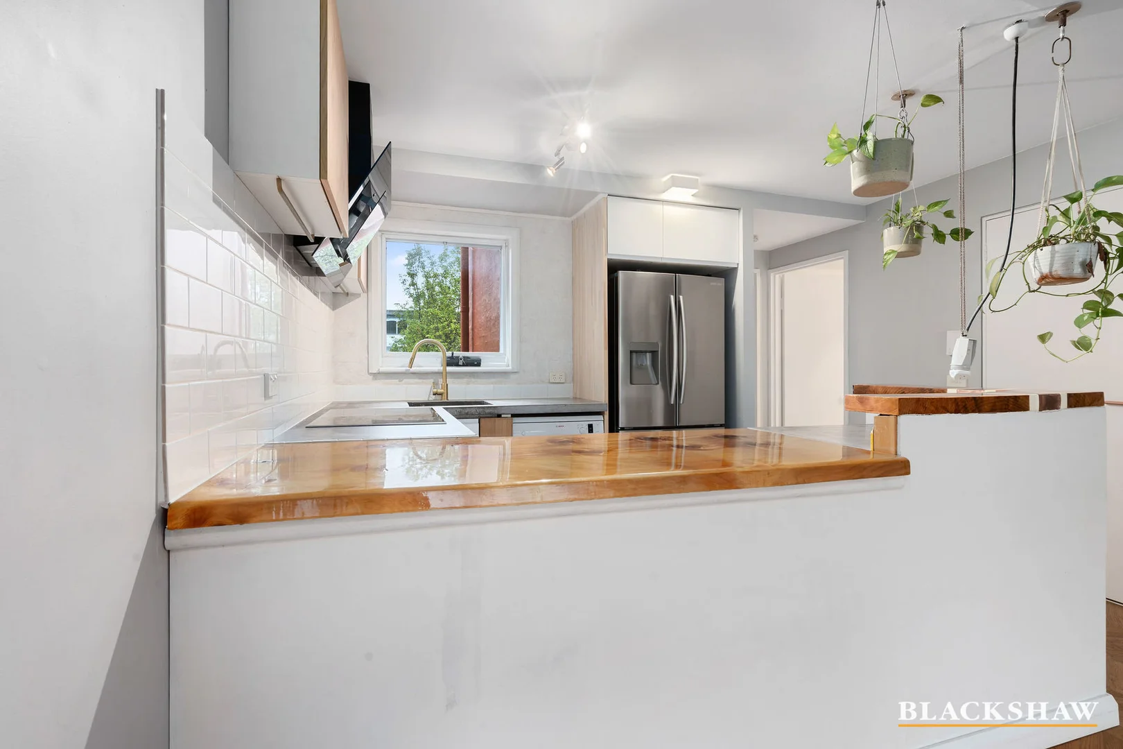 Additional image 4 of 7/16 Macpherson Street, O'Connor ACT 2602