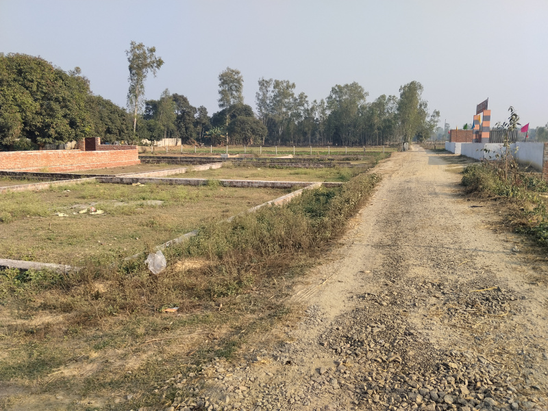 Sultanpur Road, Lucknow photo 2