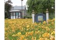 Additional image 18 of 26 Adams Dr, Denville, NJ, 07834