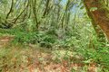 Additional image 88 of 13118 Cement Hill Rd, Nevada City, CA, 95959