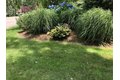 Additional image 40 of 57 Brierbrook St, Milton, MA, 02186