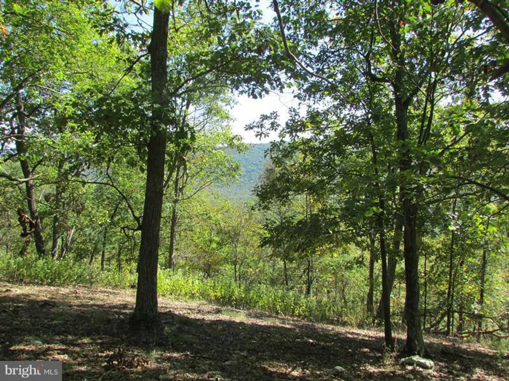 188 Bluffs On The Potomac Ave, Romney, WV 26757