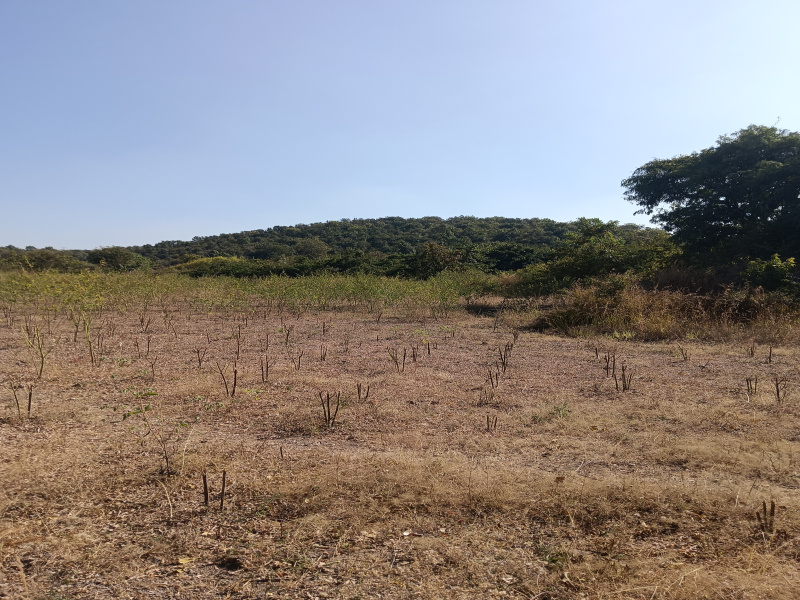 Additional image 3 of Mohapa, Nagpur