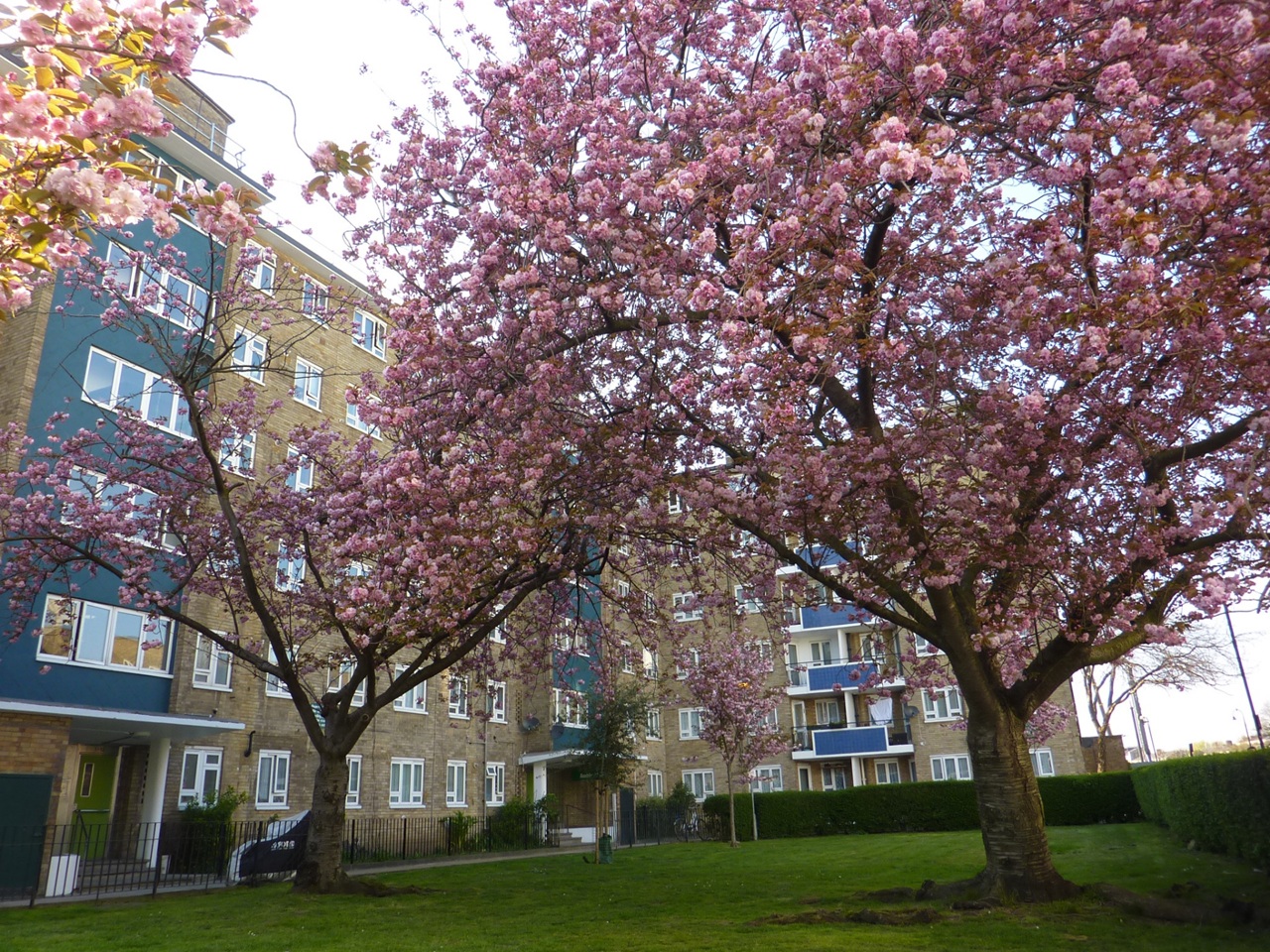 Additional image 16 of 3 Bed Flat, Ambleside, NW1, N1 7GU