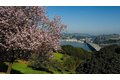Additional image 26 of 401 Sherwood Dr, Sausalito, CA, 94965