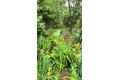 Additional image 45 of 162 Millstone Rd, Millstone, NJ, 08535
